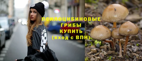 дурь Абдулино