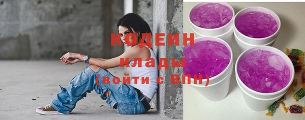 шишки Абаза