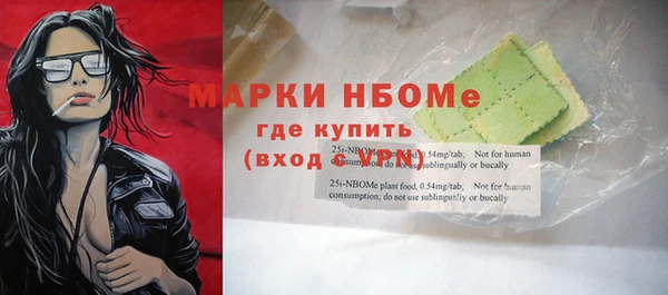 шишки Абаза