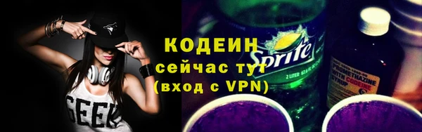шишки Абаза