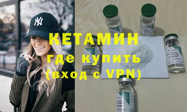 шишки Абаза