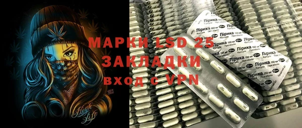 шишки Абаза