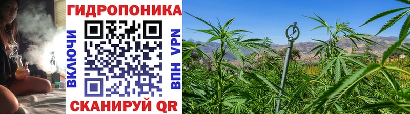 ссылка на мегу ТОР  Чишмы  Каннабис индика  цены  